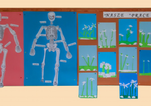 Gazetka szkolna z przebiśniegami z papieru oraz pracą przedstawiającą budowę szkieletu.