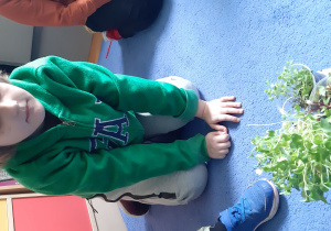 Chłopiec i jego hodowla roślin.