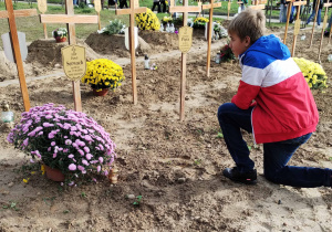 Jeden z chłopców klęczy przy grobie, w tle widok starszej części cmentarza i młodzież z innych szkół.